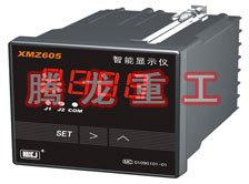 溫度表、數(shù)字顯示儀、濕度表