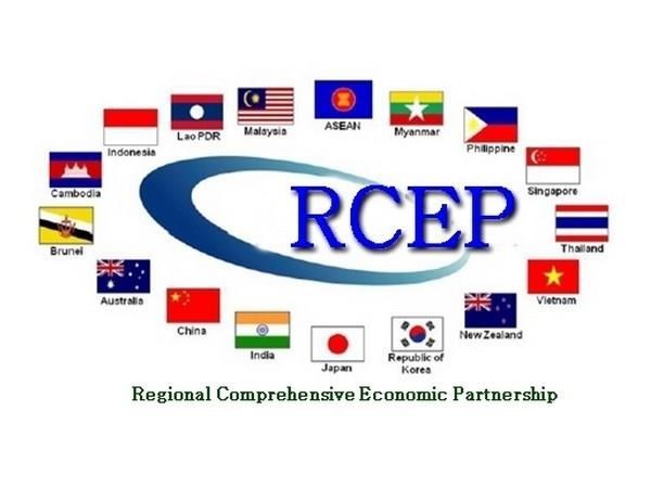 RCEP对我国产业发展影响几何